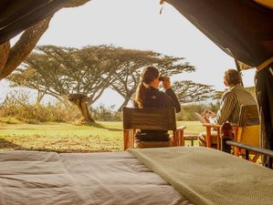 5 Day Private Mid Range Lodge Safari Tour in Tanzania