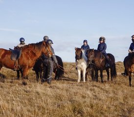 68 Day Kjölur Horse Riding Tour across The Heart of Iceland - Photo 1