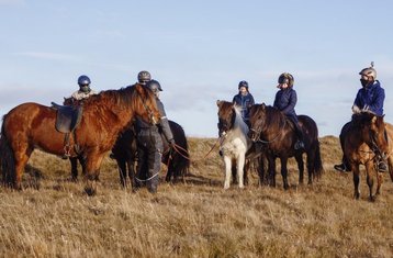 8 jours Kjölur : randonnée équestre au cœur de l’Islande