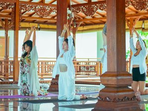 20-daagse 200-uurs Hatha-, Ashtanga- en Vinyasa-yogadocentenopleiding in Bali, Indonesië