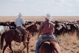 Dude Ranch Retraites et Voyages