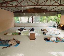 5 días de retiro de meditación y yoga en Rishikesh, India - Photo 3