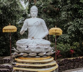14 Tage Wellness Yoga Retreat in Bali, Indonesien - Photo 5