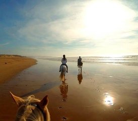 8 Tage Reiturlaub am Strand in der Region Agadir, Marokko - Photo 2