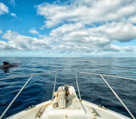 5 Tage Aqua-Yoga-Intensivkurs und Begegnung mit Walen auf Teneriffa, Kanaren, Spanien - Photo 4