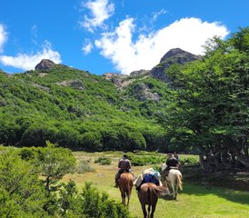 6-Daagse Paardrijvakantie voor gemiddeld tot gevorderd niveau in de Noord-Patagonische Andes, Argentinië - Photo 2