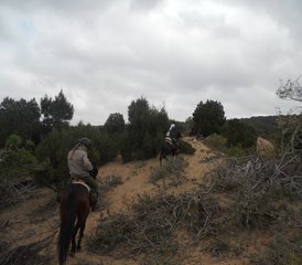 8 jours de randonnée équestre Argan au Maroc - Photo 5