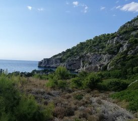 6 jours en stage de yoga en Bord de mer de Micri Milokopi, Grèce - Photo 2