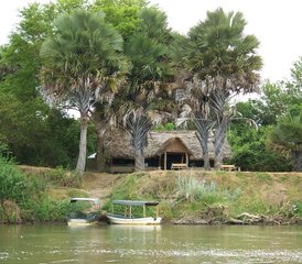 3-Daagse Tanzania Safari in Selous Game Reserve - Photo 5