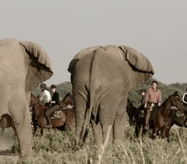 8 días de safari de elefantes en el Kilimanjaro y vacaciones a caballo en Tanzania - Photo 2