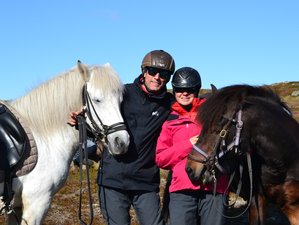 7 Days Ratekjokk Trail Horse Riding Holiday in Kiruna, Sweden