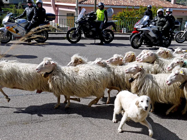 10 Day Dream Island Sardinia - Premium Guided Motorcycle Tour in Italy photo 5
