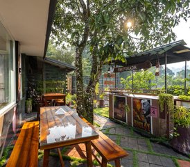 29 Day Rejuvenation with Ayurveda and Yoga in Kerala, India - Photo 3