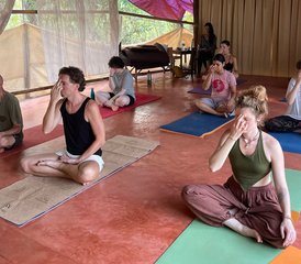 Formation duale de professeur de yoga multi-styles et massage thaï yoga de 200 heures sur 27 jours TTC à Goa, India - Photo 4