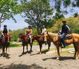 7 Day Hacienda and Cloud Forest Adventure Horse Riding Holiday in Puntarenas, Costa Rica - Photo 5