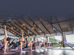 32 Day 300-Hour Advanced Yoga Teacher Training in Koh Samui, Thailand