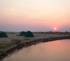 6 días de safari en canoa desde Kariba hasta Mana Pools por el río Zambezi - Photo 4