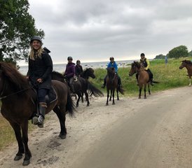 2-Daagse Paardrij en Yogavakantie op het Platteland in Sölvesborg, Blekinge - Photo 4