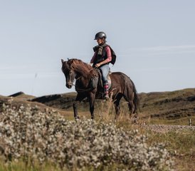 4 Tage Reiturlaub und Golden-Circle-Besichtigung in Island - Photo 3