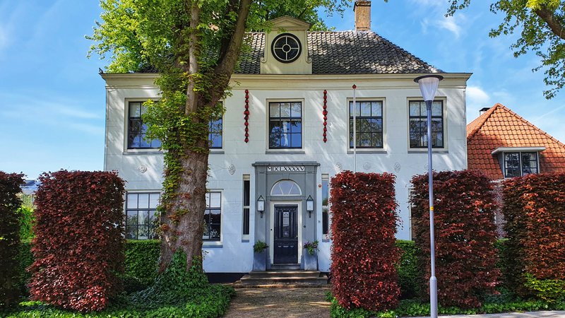 6-Daagse Opleiding Trauma Release Coach® met Yoga in Spanbroek