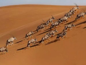 5-Daagse Legendarische Sossusvlei en Swakopmund Safari in Namibië