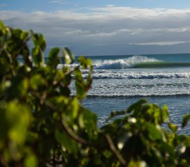 7 jours en stage de surf fantastique à Sayulita, Nayarit, Mexique - Photo 2