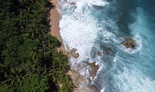 Cahuita Retraites et Voyages