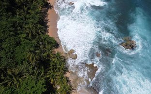 Cahuita Retiros y Viajes