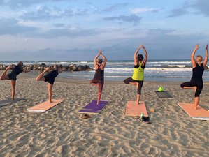 56 Tage 500 Stunden Yogalehrer Ausbildung am Strand in Misano Adriatico, Rimini