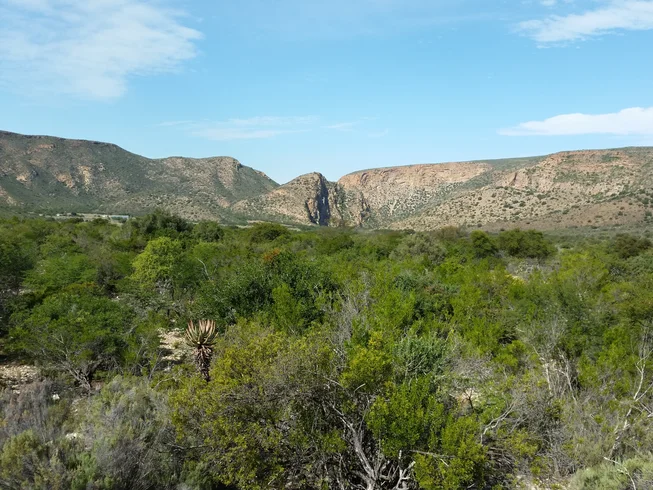 4 Days Garden Route and Karoo Discovery Guided Motorcycle Tour in South Africa photo 7