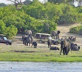 6 jours safari explorateur aux chutes Victoria et dans le parc de Chobe, Zimbabwe et Botswana - Photo 3