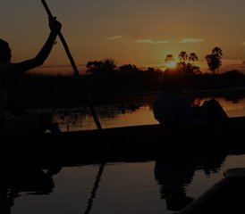 3-Daagse Mokoro Safari in Okavango Delta, Botswana - Photo 5