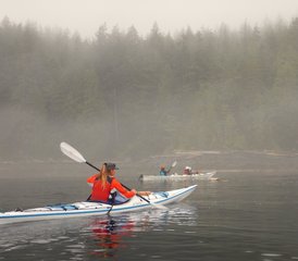 4 jours kayak & observation des baleines, Alder Bay, Canada - Photo 5