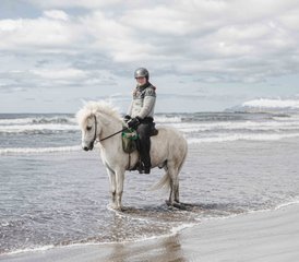 58 Day Mountain and Beach Horse Riding Holiday in Snæfellsnes, Iceland - Photo 1