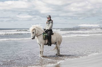 8 jours vacances équestres montagne et plage à Snæfellsnes, Islande