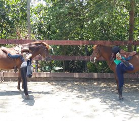 7-Daagse, Inspirerende, Natuurlijke Paardrijden en Yoga Retraite in Midden-Java, Indonesië - Photo 4
