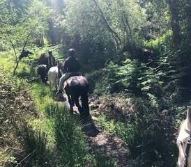 8 Tage Reiturlaub an der Algarve, Portugal mit Strandritten und Naturabenteuer - Photo 2