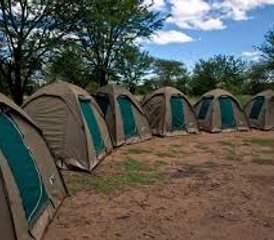 6 Tage Big Five Safari im Norden Tansanias - Photo 5