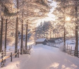 4 Day Weekend Cross-country Skiing Holiday with Yoga in Ålesund, Norway: Nature, Zen, Snow Fun! - Photo 3