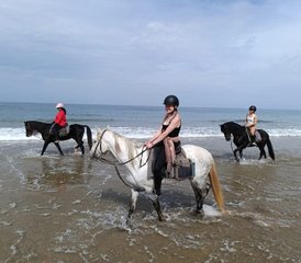 98 Day All-Inclusive Horse Riding Holiday With Yoga and Stretching in Oceanfront Riad, Agadir Morocco - Photo 1