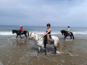 8 Tage All-Inclusive Reiturlaub mit Yoga und Dehnung in Oceanfront Riad, Agadir, Marokko