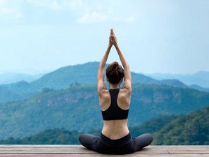 Self-Paced Online 4-Hour Ailment‑Focused Yoga Retreat Over 4 Hours of Live Sessions