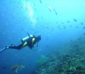 6 Tage Open-Water-Diver-PADI-Kurs mit täglichem Yoga in Bali, Indonesien - Photo 3