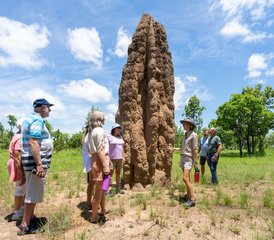 3 Day Kakadu and Litchfield 4WD Adventure, Hiking, and Camping Holiday from Darwin, Australia - Photo 3