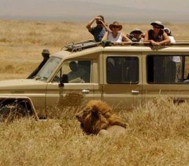 4 Tage Fantastische Camping Wildtier Safari in Tansania - Photo 3