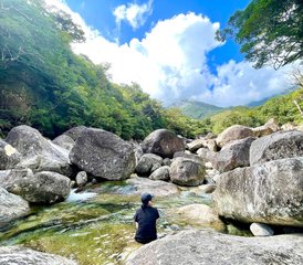 4 Day Yakushima Yoga Retreat in Japan with Nature Immersion - Photo 5