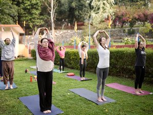 15 días de retiro de yoga para el alineamiento en Uttarakhand, India