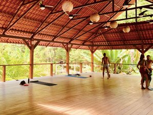 3 Day 20-Hour Yoga Nidra Retreat and Teacher Training in Limon, Costa Rica