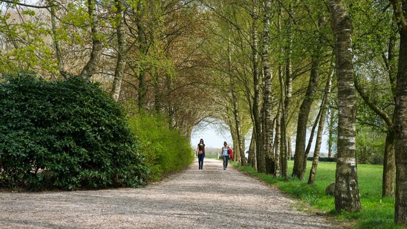 3-Daagse Yoga Restore, Reflect en Renew Retreat in Elsloo, Friesland