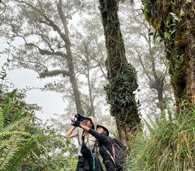 6 Day Luxury Tropical Rainforest, Yoga, and Wellness Retreat in Bali, Indonesia - Photo 4